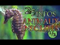 25 infos sur des animaux insolites 12