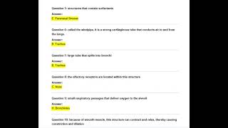 FREE PHYSIOLOGY AND STUDY GAMES ABOUT CH. 22 -RESPIRATORY EXAM QUESTIONSActual Qs and Ans Expert