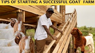 Tips for Starting a Successful Goat Farm | Detailed Video| 2024