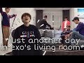 exo are their own species
