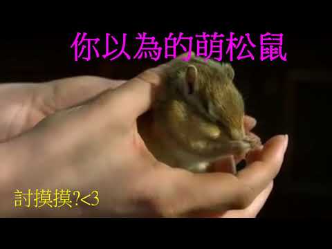 20214+28生科作業-7分鐘一睹建中廬山真面目By邊緣人的五十道陰影