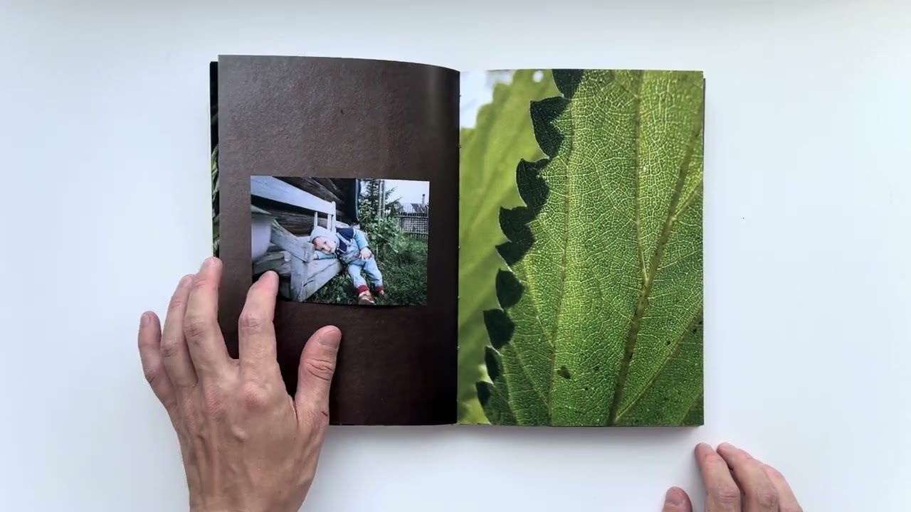 Дима Шаров, Aglais Urticae