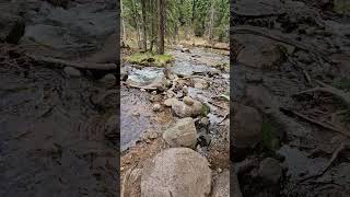 Listen to the sound of Nature Healing #nature #mountains #colorado