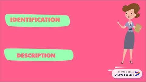 media descriptive text