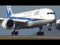 久しぶりに大きめの飛行機(ホントは中型だけど。 B788 松山空港