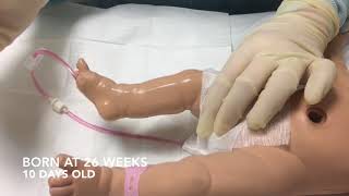 Neonatal Longline Insertion Technique