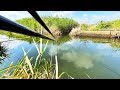 細い水路で魚の通り道をバランスの底釣りで狙ってみた【埼玉県白岡町 柴山沼】