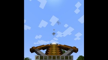 Flocking Simulation in Minecraft (Boids)