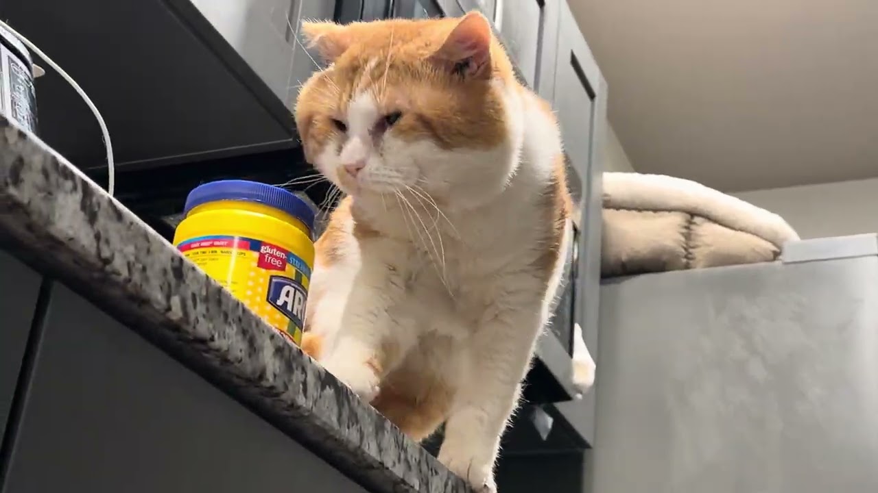 When he needs attention 