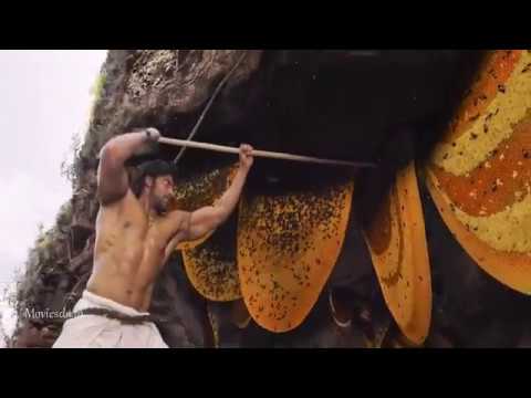 Kadamban (2017) Main Valuable Intro Movie Scene | Honey Hunting Scene