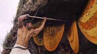 Kadamban (2017) Main Valuable Intro Movie Scene | Honey Hunting Scene