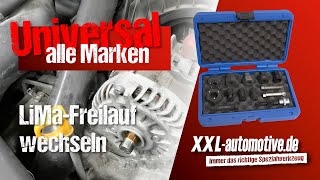 Steckschlüssel-Einsatz für Lichtmaschinen-Freilauf, T50, Ø 14 mm, 31-Zahn –  für Alfa Fiat Opel, Generator, Nebenaggregate, Spezialwerkzeug