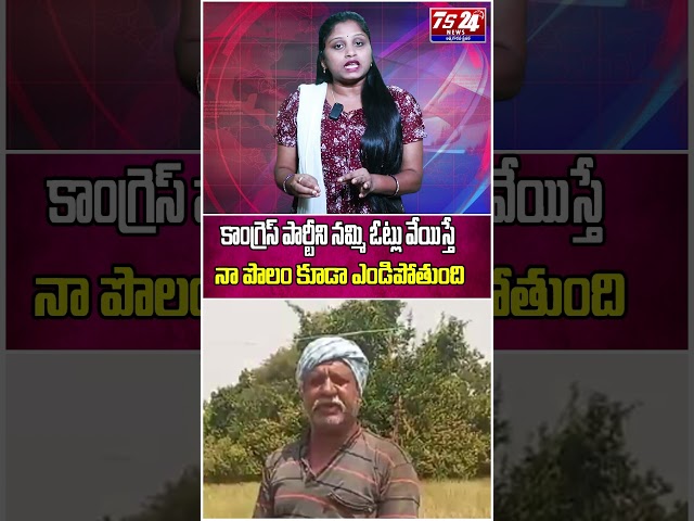 కాంగ్రెస్‌ను నమ్మి ఓట్లు వేయిస్తే.. నా పొలమే ఎండిపోతోంది!కాంగ్రెస్ కోసం పనిచేసిన రైతు ఆవేదన!