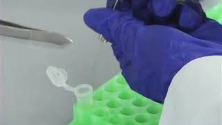 Sample Preparation Strategies for Mass Spectrometry Imaging of 3D Cell Culture Models