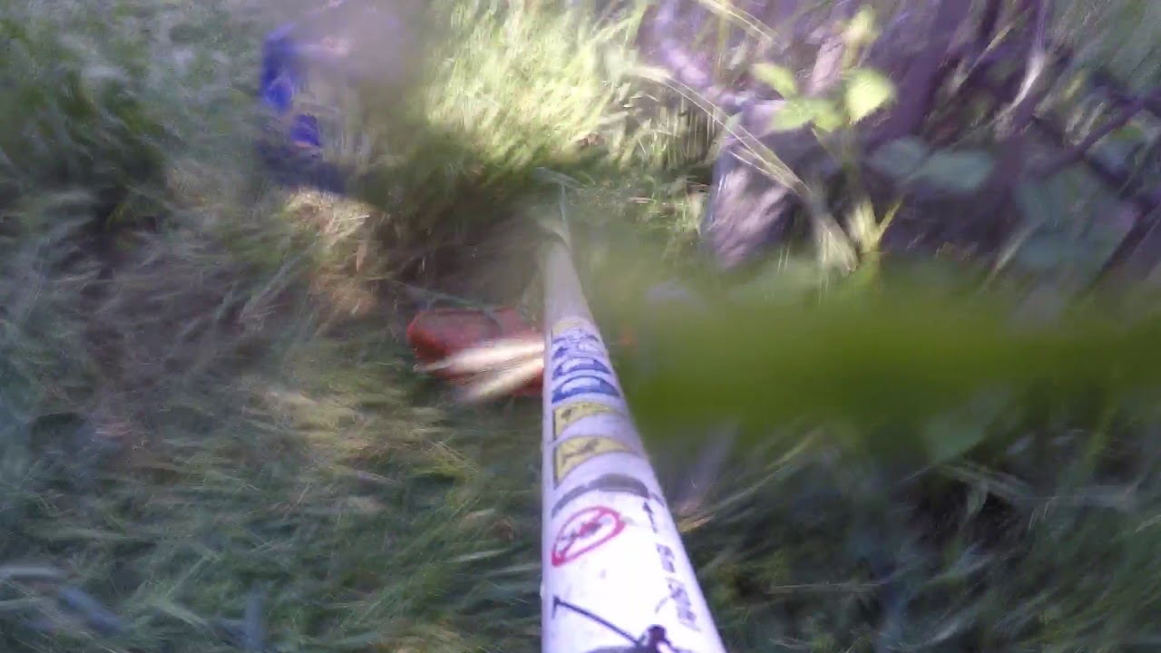 Stihl FS 240R vs tall grass - YouTube