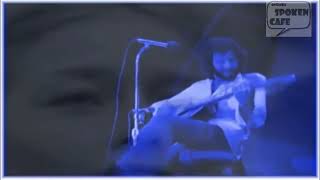 Cat Stevens Lady Darbanville Resimi