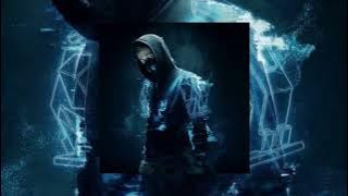 Alan Walker- Spectre [NCS release] (slowed  reverb)