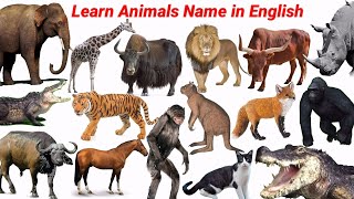 Animals Video For Education | Learn Domy&amp; Wild Animals Name | Animals Sounds Cow, Dog | #cowvideos