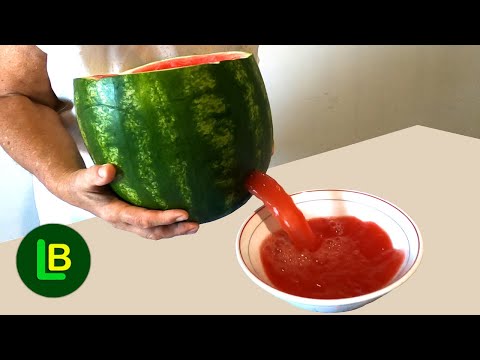 Video: Tendergold biljke lubenice – saznajte više o uzgoju tendergold dinja