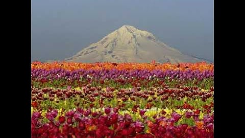 ماتيسر من سورة الكهف بصوت الشيخ إبراهيم الجبرين