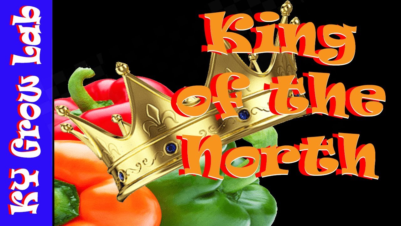 Seed Starting the King of the North | Seed Giveaway