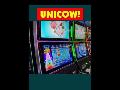 Master the Mega Moolah Game: A Comprehensive Guide to Playing Online in English for Canadian Players