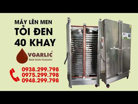 Bạn muốn làm tỏi đen công nghiệp để kinh doanh? Xem ngay máy VGarlic trước khi đưa ra quyết định nhé