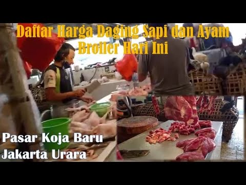 Video: Harga Daging Tabung Reaksi Turun 30.000 Kali Dalam 4 Tahun - Pandangan Alternatif