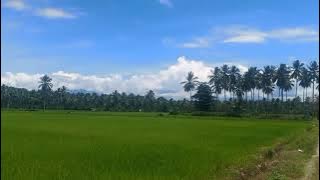 Viral Tiktok Loker Animation Andai Saja