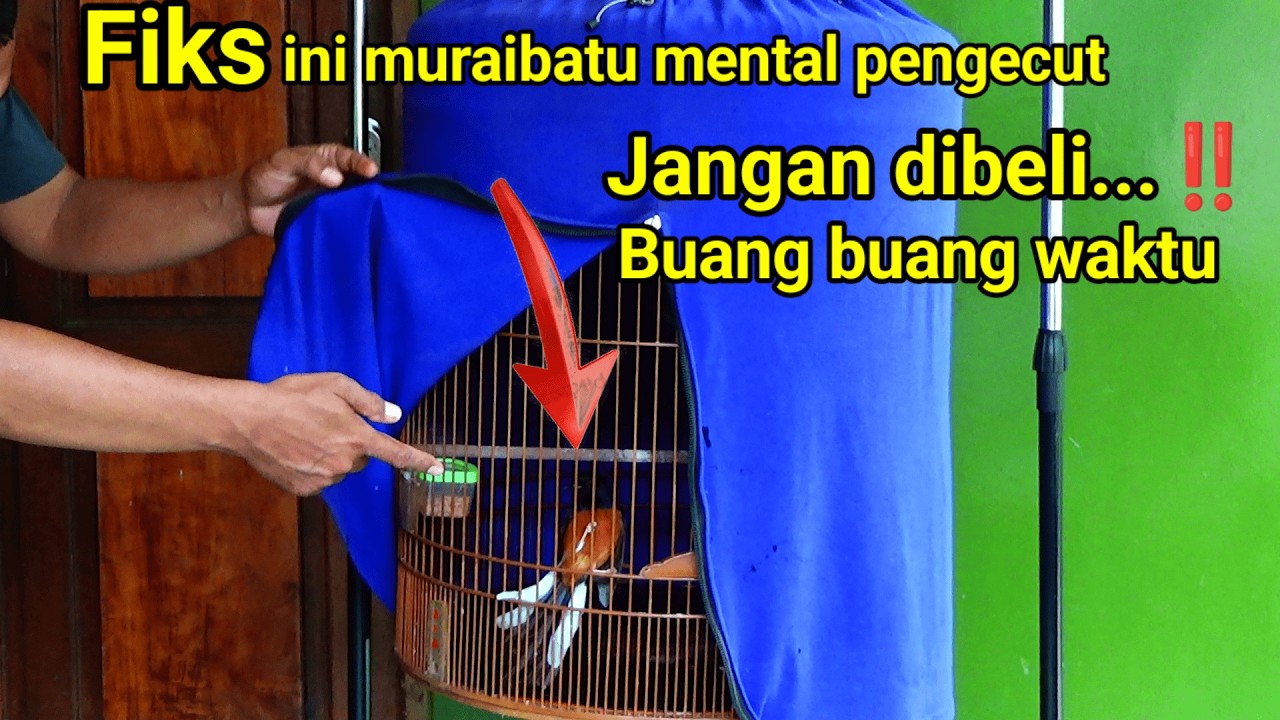 WASPADAI INI | tanda Muraibatu MENTAL PENGECUT ‼️