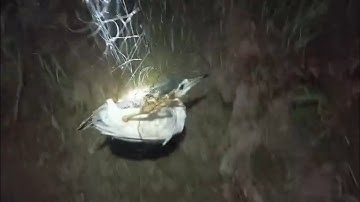 Chia sẻ Cách chọn lưới Bẫy Vạc phù hợp theo bãi đánh