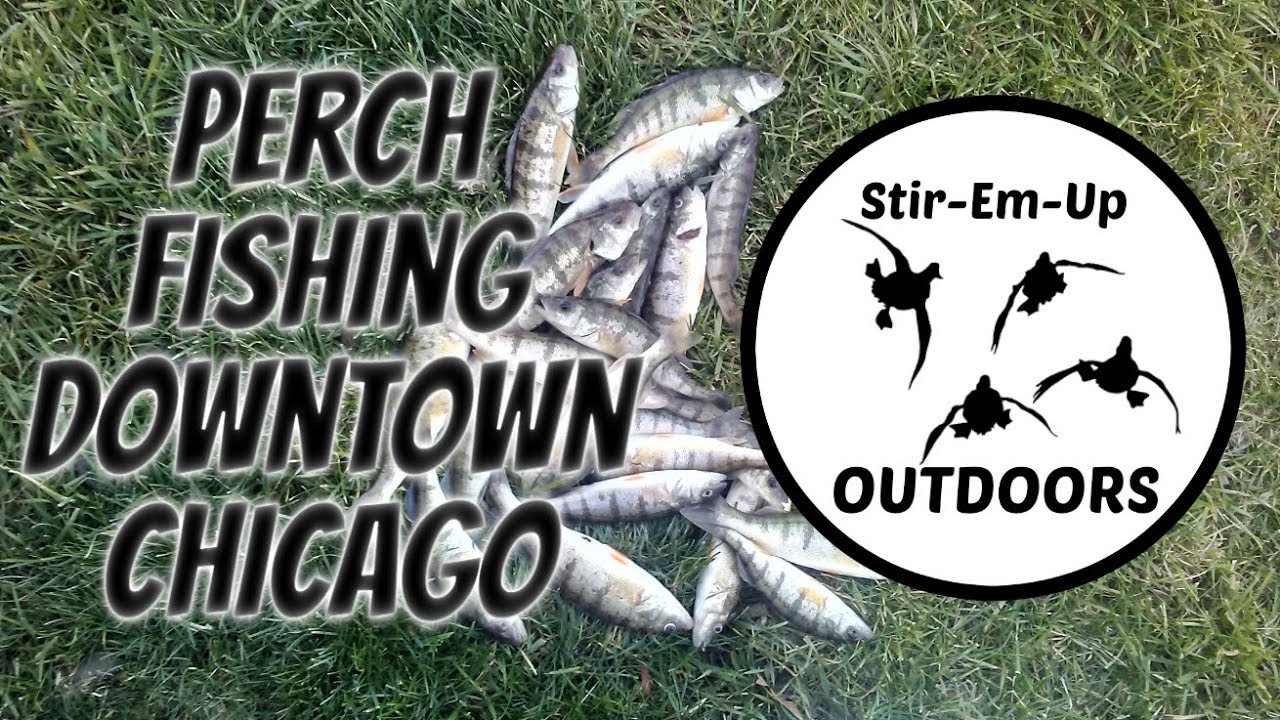 Illinois Fishing | Perch fishing 87th St. Downtown Chicago | #7