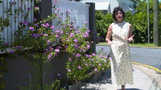 Tour Of 18 Pascal Street Red Hill Qld 4059 - House for Sale