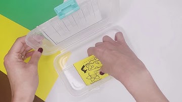 Special Education Task Boxes - Materials for Spec Ed Students