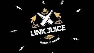 Link Juice: What is Link Juice? Drink some and find out.