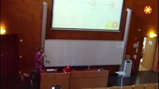 relayd - A Load Balancer for OpenBSD - BSD Day 2012