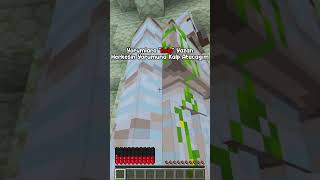 Minecraft AMA Abone Olduğunuzda Kalbim ARTIYOR 💔