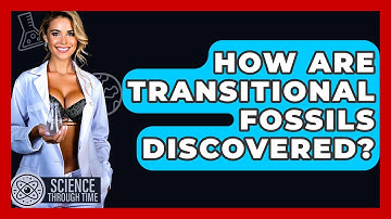 How Are Transitional Fossils Discovered? - Science Through Time