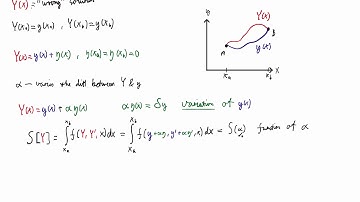 Euler Lagrange Derivation