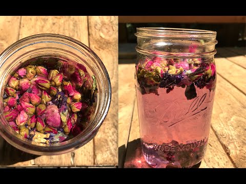 How To Make SUN Infused Rose Tea | Off The Grid