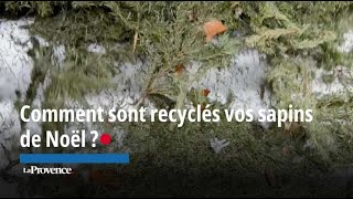À Marseille, comment sont recyclés vos sapins ?
