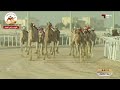 الشوط     سيف الحول المفتوح   دولة ل  هجن الرئاسة            مهرجان ختامي الشحانية        نجومي