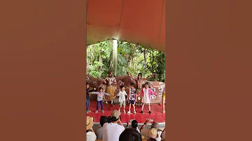 Short19 Aboriginal Culture Dance Shorts Australia Aboriginal Travel Kids 