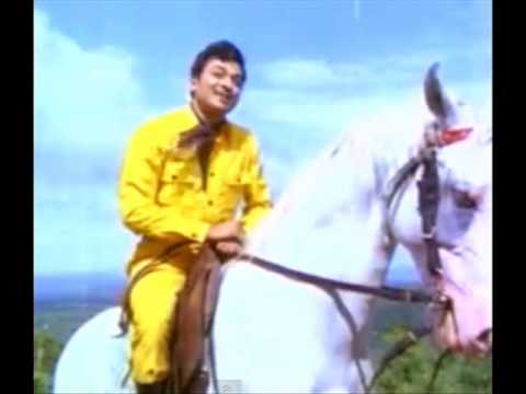 gandhadagudi kannada songs