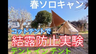 春だ！、結露対策の実験ソロキャン、ベルテントのツールーム化