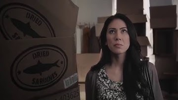 FROGBOX Moving Boxes