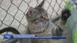 Local organizations ask for community support on Giving Tuesday