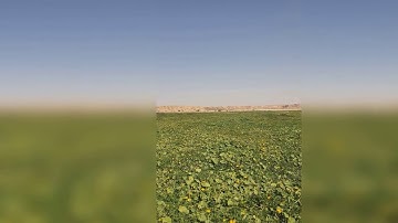 سورة الشورى ( ٤٤ - آخرها )