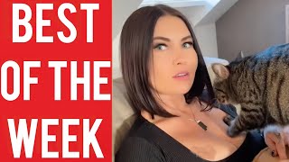 Lucky Cat and other funny videos! || Best fails of the week! || October 2023!