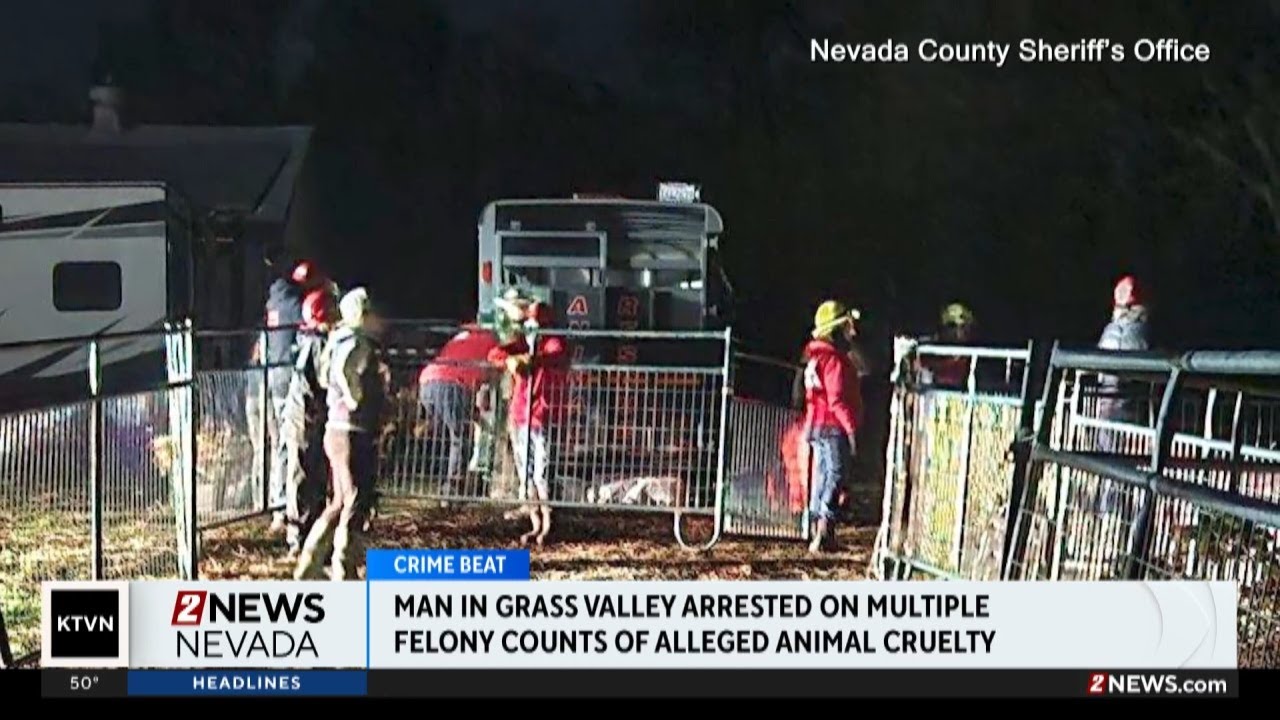 Man arrested on multiple counts of alleged animal cruelty - YouTube